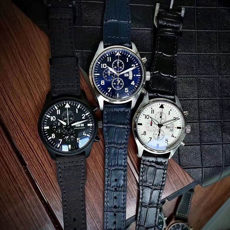 IWC watch 082225